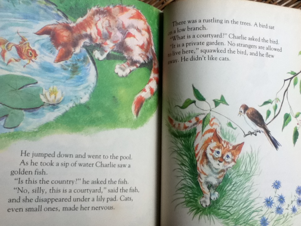 Charlie/ DIANE FOX DOWNS