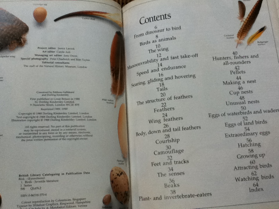 EYEWITNESS GUIDES 9 เล่ม