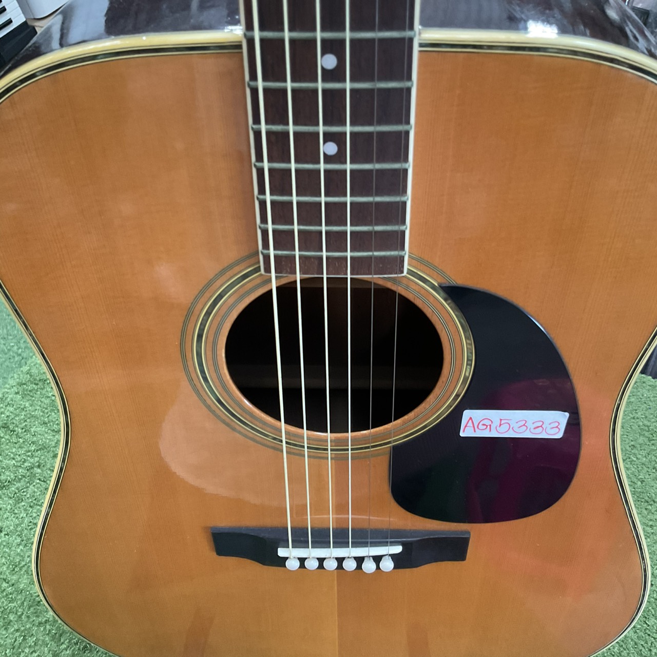 กีต้าร์โปร่ง Morris : W-25