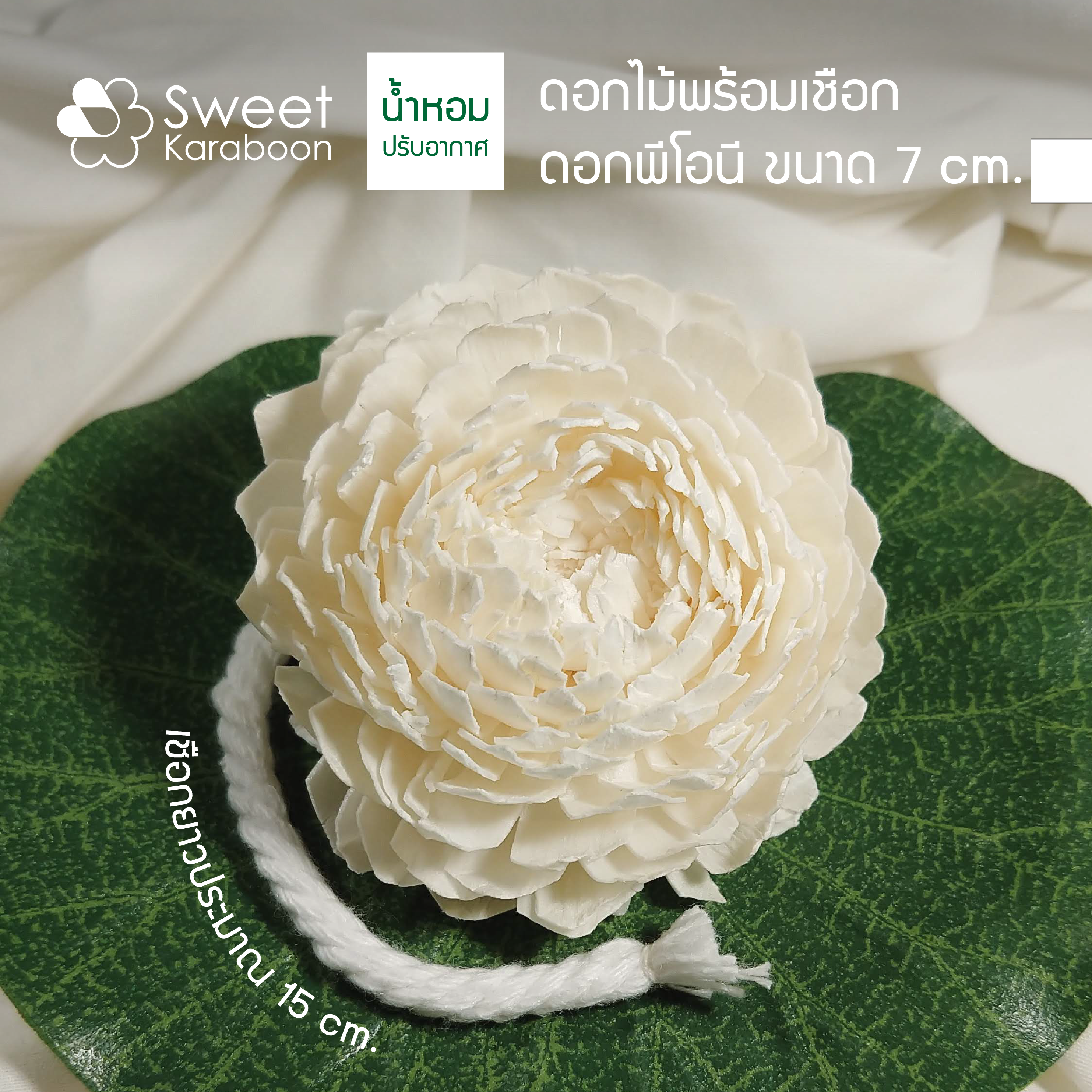 ดอกพีโอนี 7 cm.