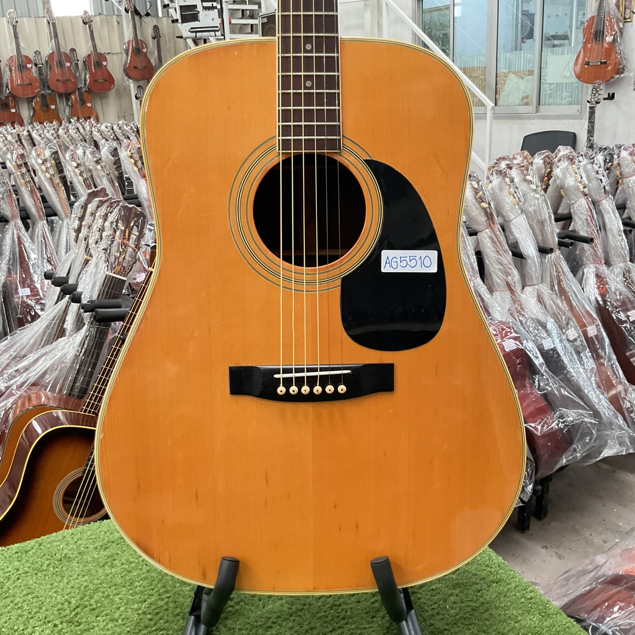 กีต้าร์โปร่ง Morales : LYRE BIRD