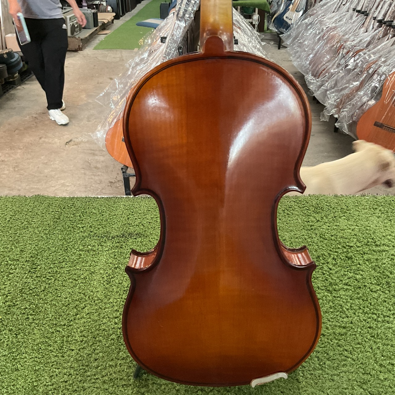 ไวโอลิน No Brand