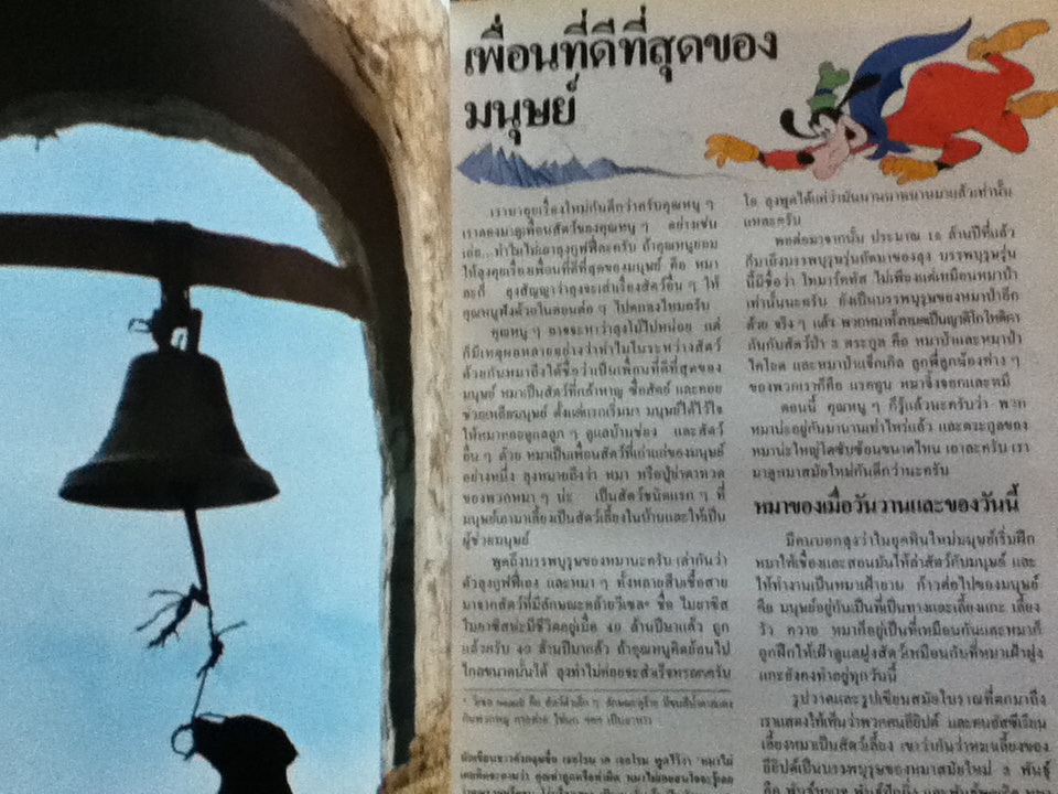 Disney's โลกมหัศจรรย์ 10 เล่ม