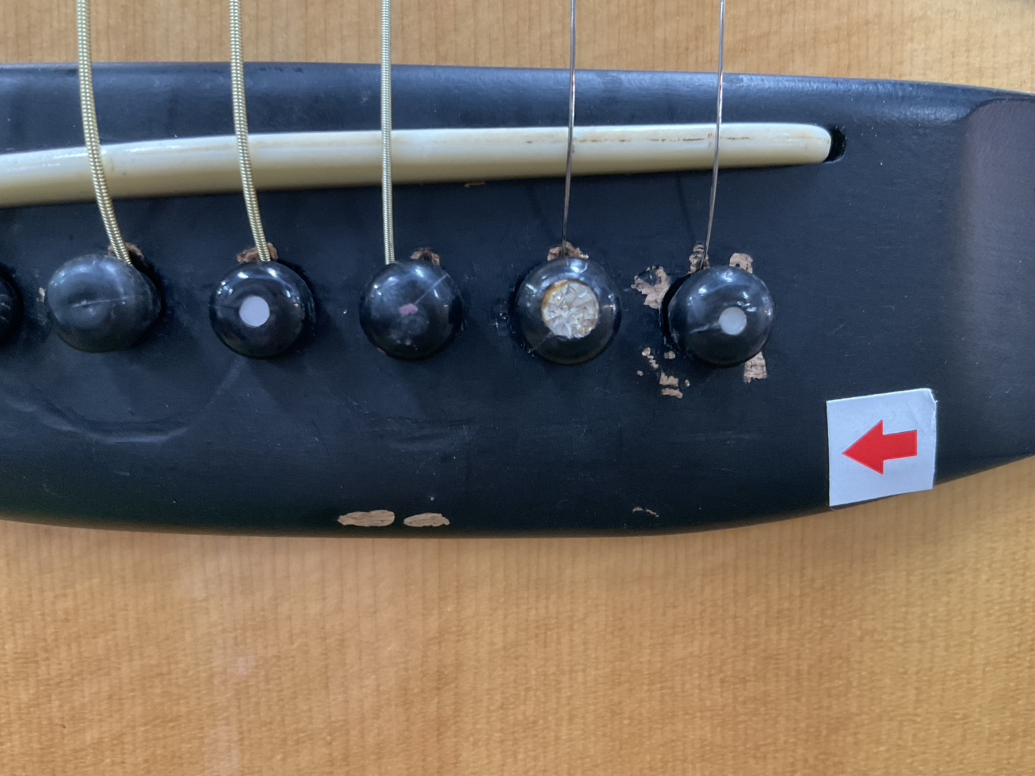 กีต้าร์โปร่ง Morris : W-15