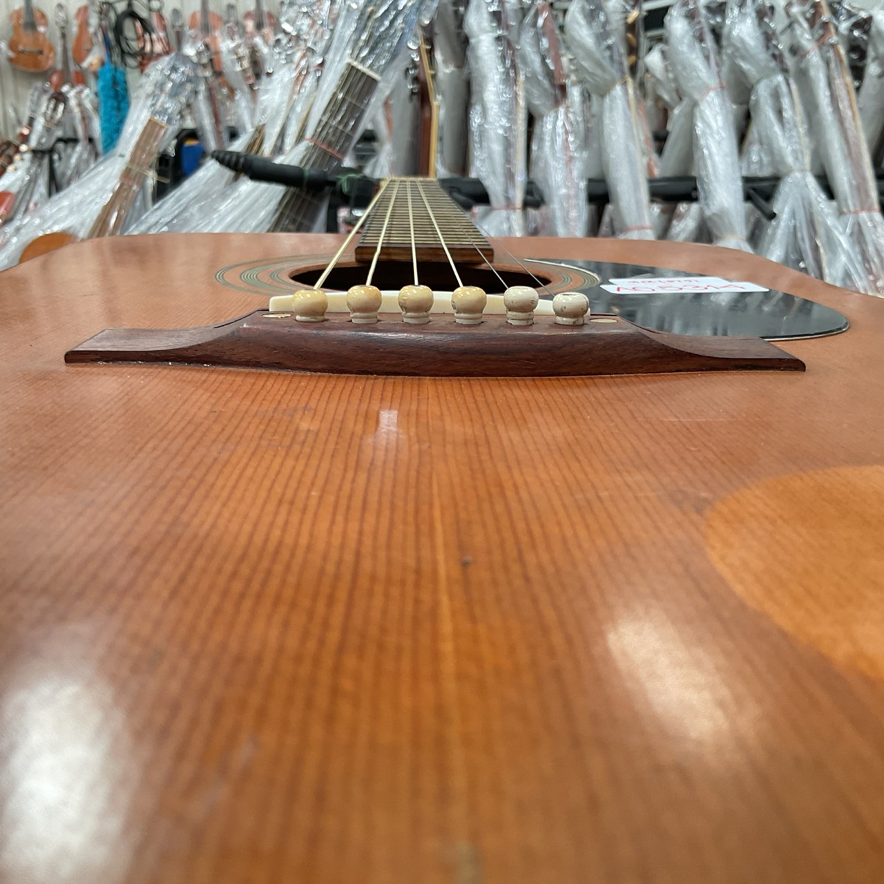 กีต้าร์โปร่ง Muse