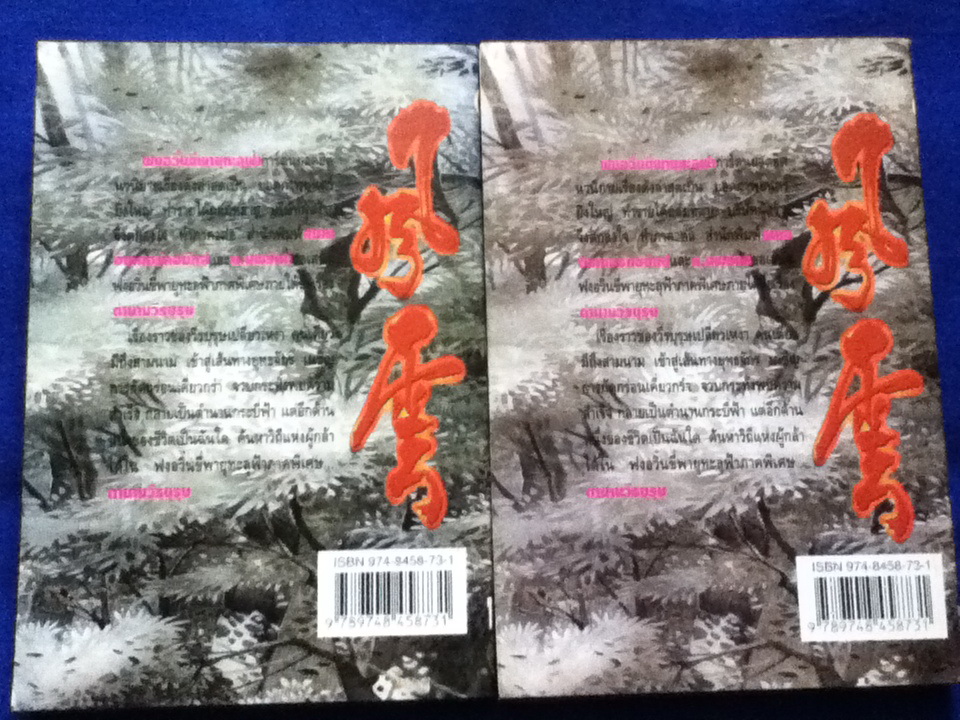 วาตะ เมฆา (ฟงอวิ๋นขี่พายุทะลุฟ้า) 4 ตอน และภาคพิเศษ 2 ตอน (11 เล่ม)