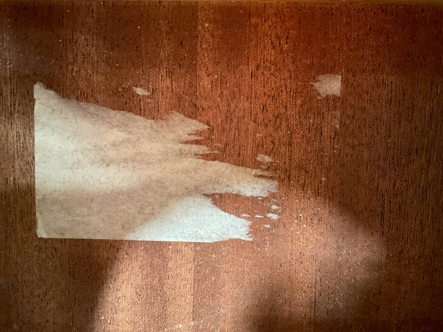 กีต้าร์คลาสสิค ยี่ห้อตามภาพ