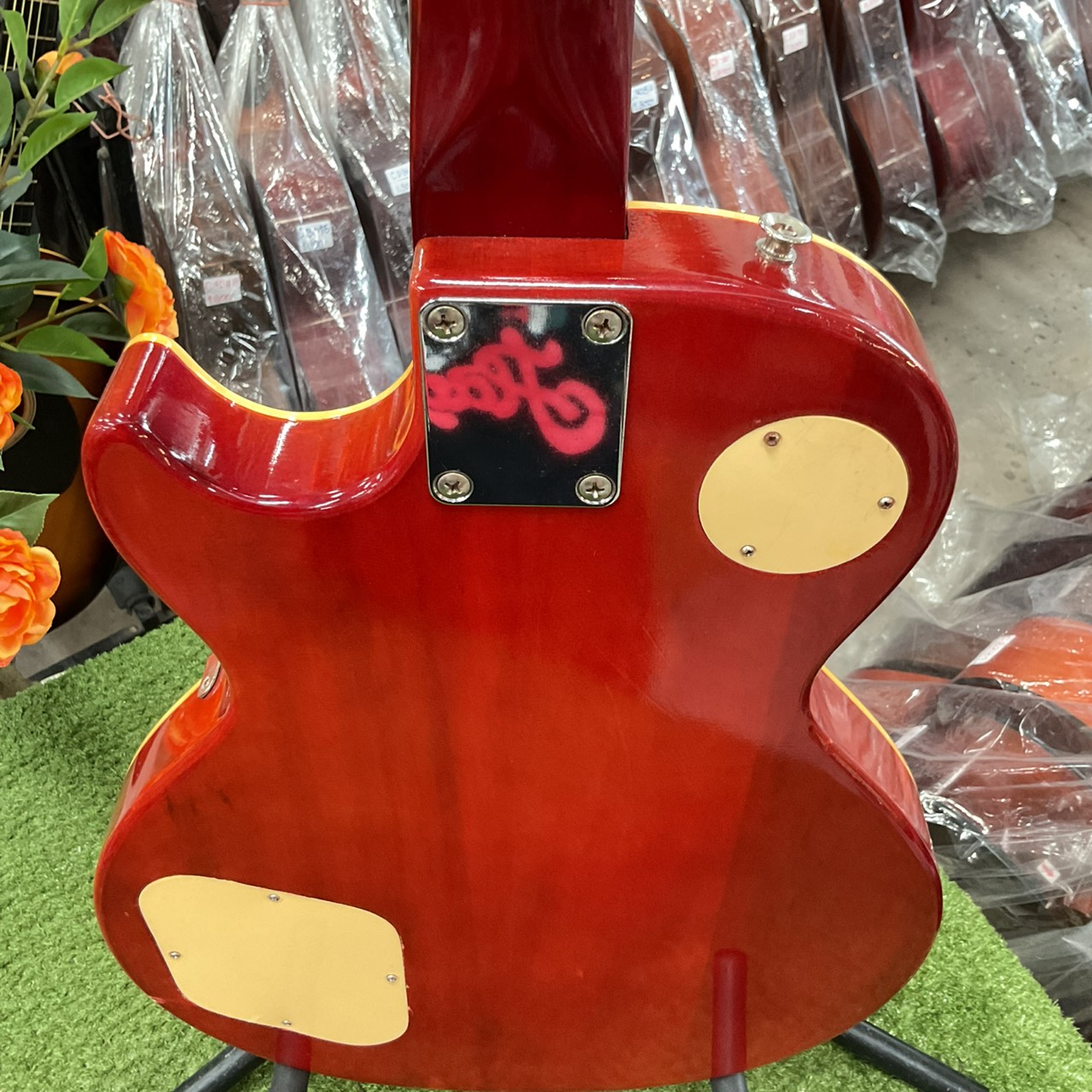 กีต้าร์ไฟฟ้า HOLLY