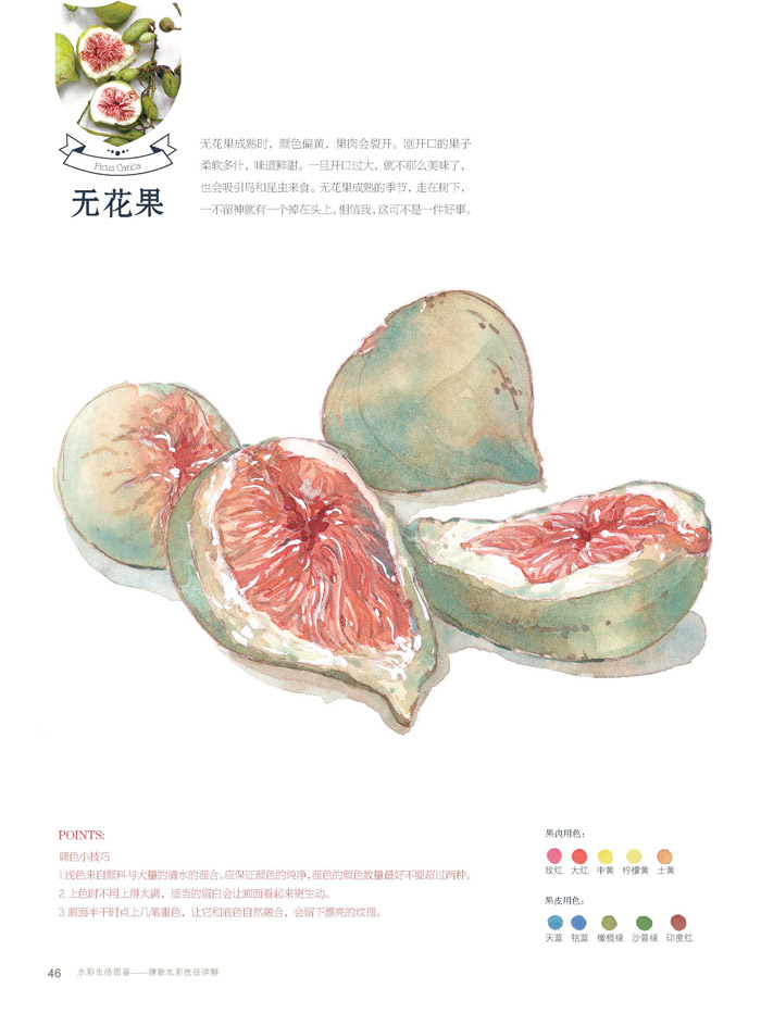 (Pre-order) หนังสือสอนระบายสีน้ำ Life illustrations