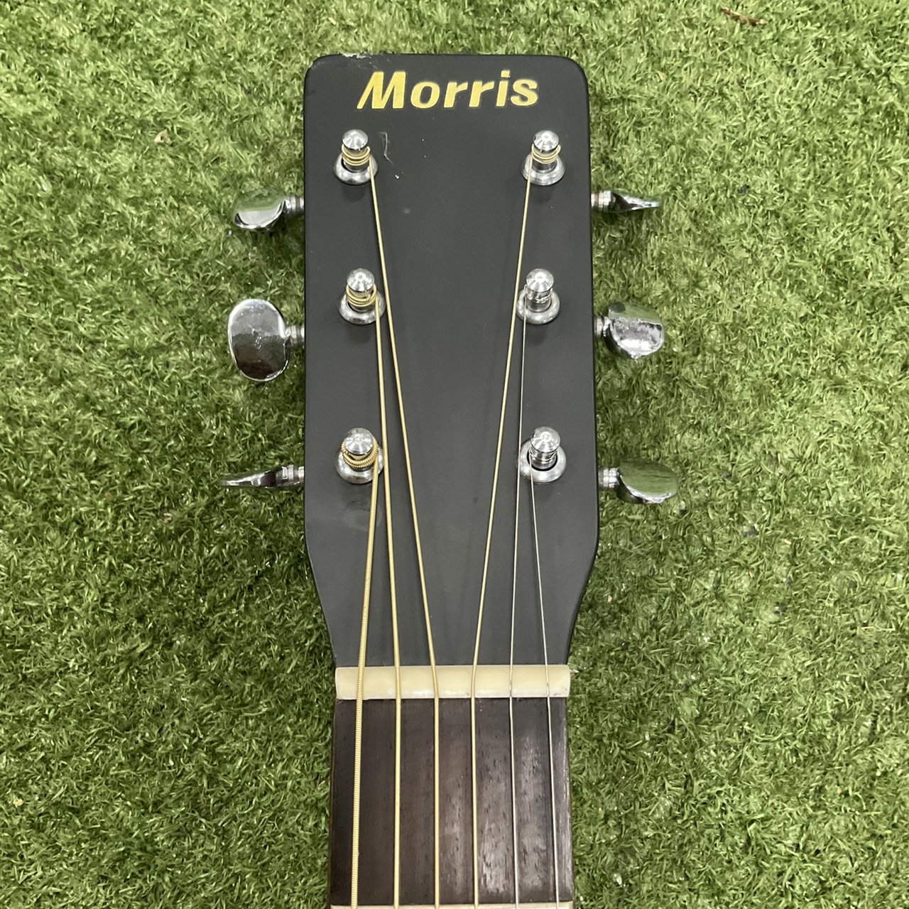 กีต้าร์โปร่ง Morris : MD-501