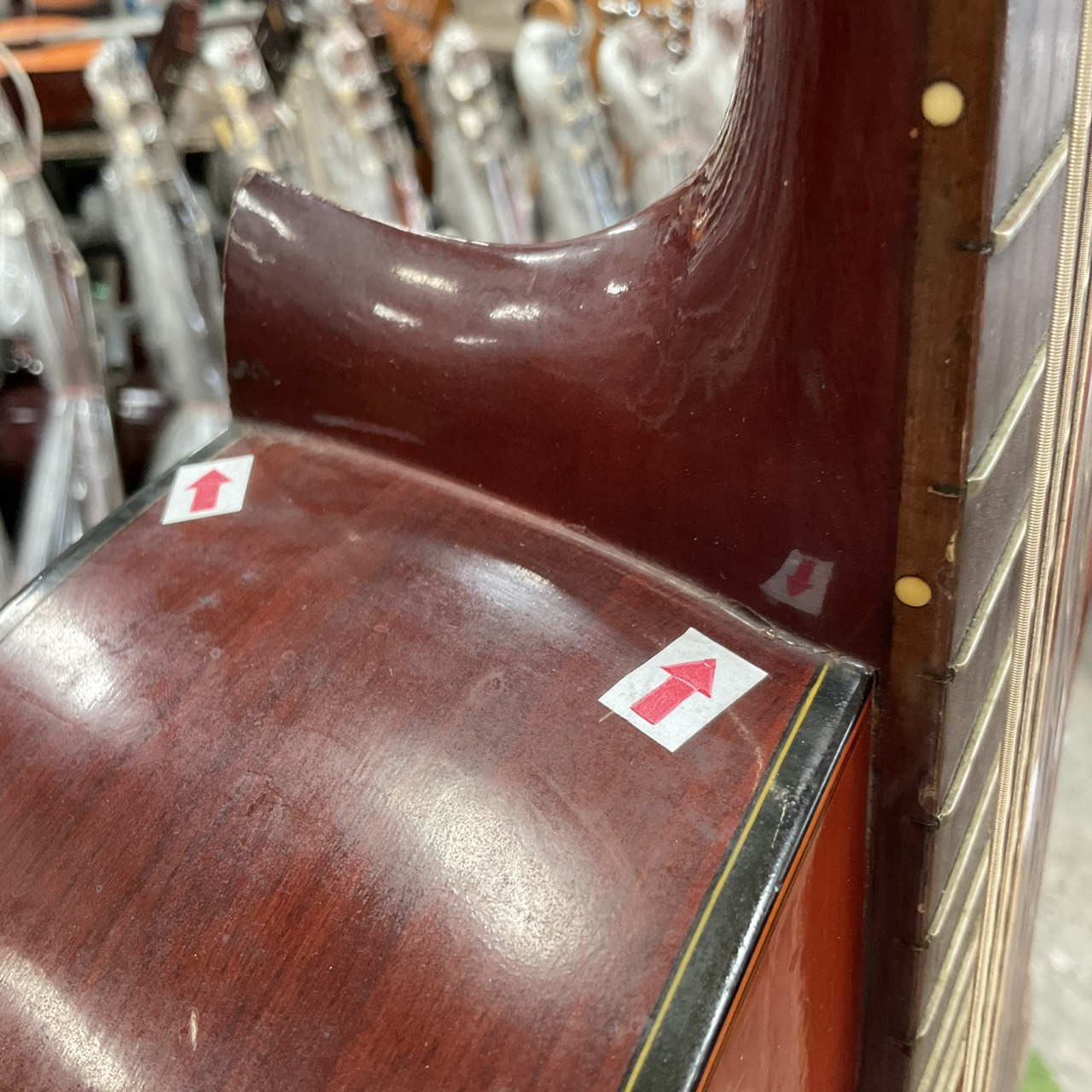 กีต้าร์คลาสสิค SUZUKI : C-10