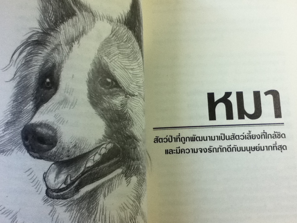 หมาพัน(ธุ์)ทาง/ ชัยวัฒน์ ดำรงค์กิจกุลชัย