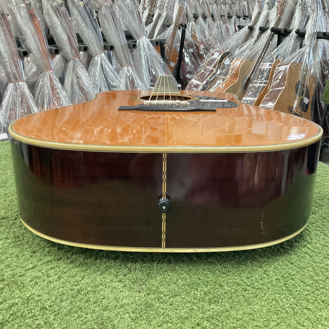 กีต้าร์โปร่ง Morris : W-25