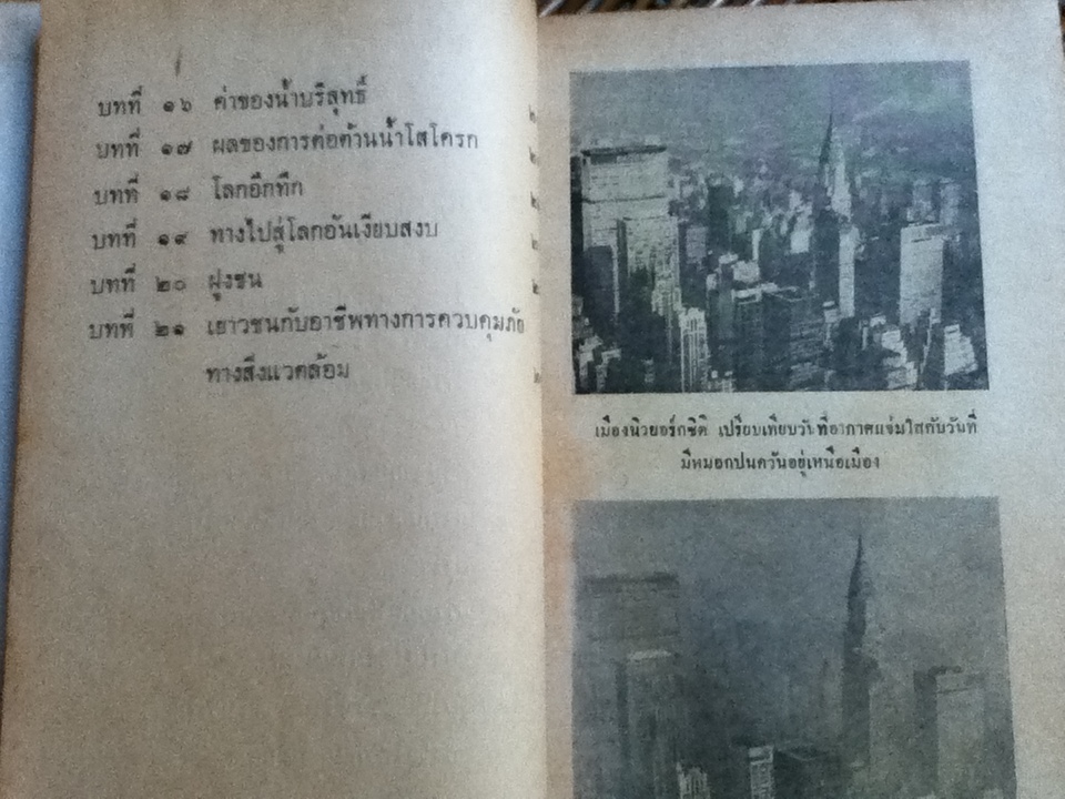 น้ำเน่า อากาศเป็นพิษ/ โทมัส จี. เอลส์เวิร์ธ