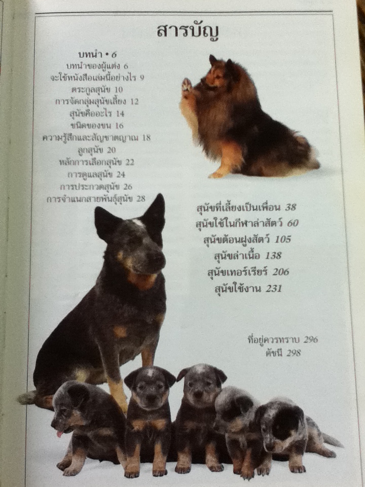 สุนัข คู่มือแนะนำสุนัขพันธุ์ต่างๆ มากกว่า 300 พันธ์ุจากทั่วโลก/ เดวิด อัลเดอตัน