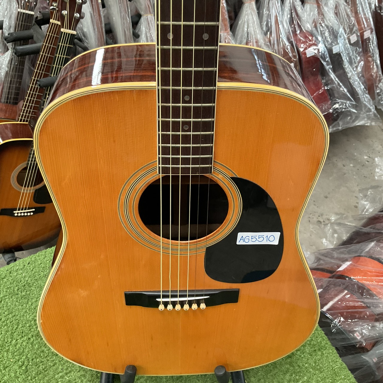 กีต้าร์โปร่ง Morales : LYRE BIRD