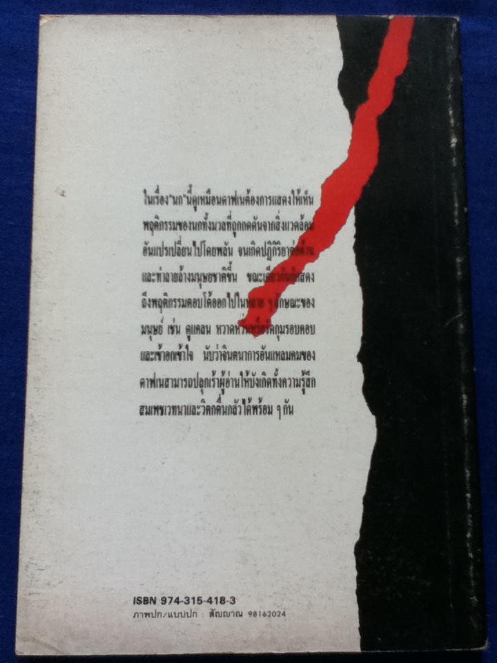 นก นวนิยายเชิงจิตวิทยา-นิเวศวิทยา