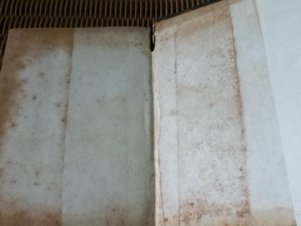 ชมรมโปกฮา และวรรณกรรมร็อคเอ็นโรลล์/ "เจ้าจำปี"