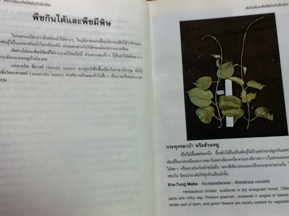 พืชกินได้และพืชมีพิในษป่าเมืองไทย (2 ภาษา ไทย-อังกฤษ)/ สมจิตร พงศ์พงัน, สุภาพ ภู่ประเสริฐ