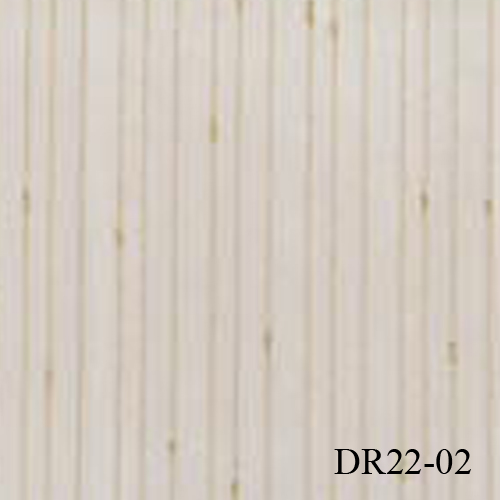 DR22-02