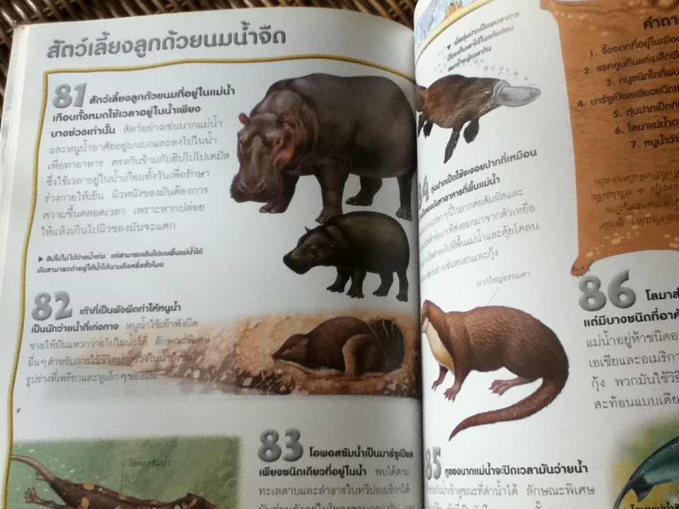 100 เรื่องน่ารู้เกี่ยวกับสัตว์เลี้ยงลูกด้วยนม/ จินนี จอห์นสัน