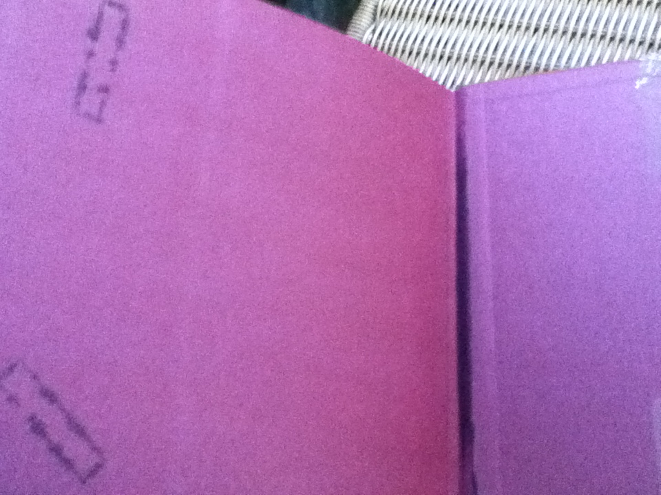 The Thai House: History and Evolution / Ruethai Chaichongrak, et al.