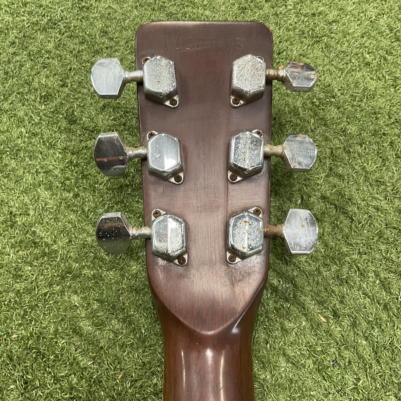 กีต้าร์โปร่ง Morris : W-20