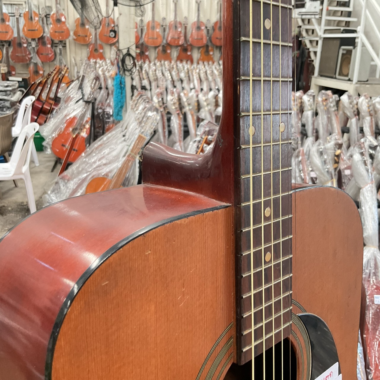 กีต้าร์โปร่ง Muse