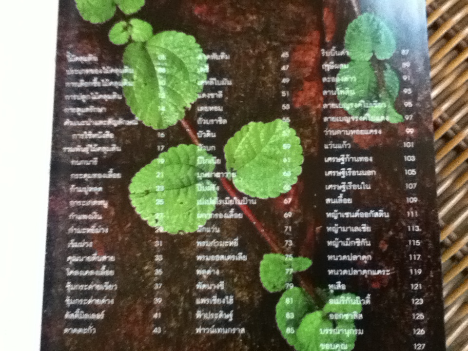 ไม้คลุมดิน/ ธิวลักษณ์ บุนนาค