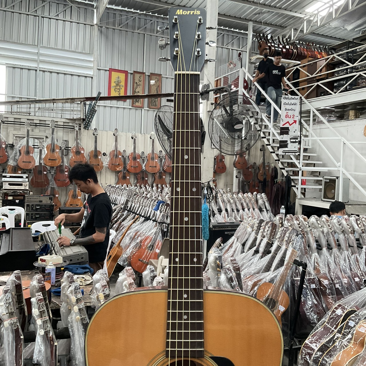 กีต้าร์โปร่ง Morris : MD-501