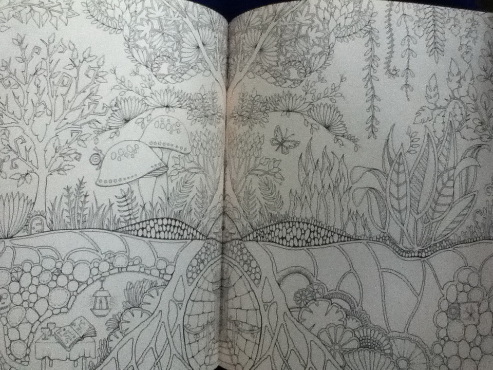 ป่าต้องมนตร์ Enchanted Forest