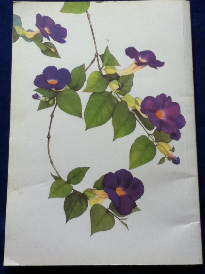 บทสวดมนต์และคำแปล วัดป่าสุคะโต