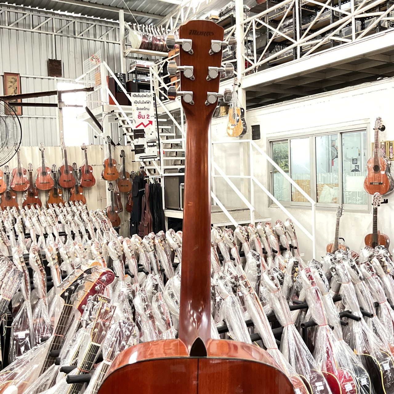 กีต้าร์โปร่ง MORRIS : M-01NAT