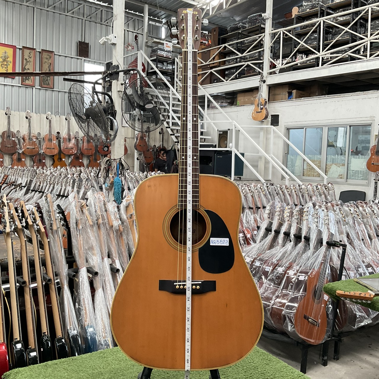 กีต้าร์โปร่ง Morris : W-20