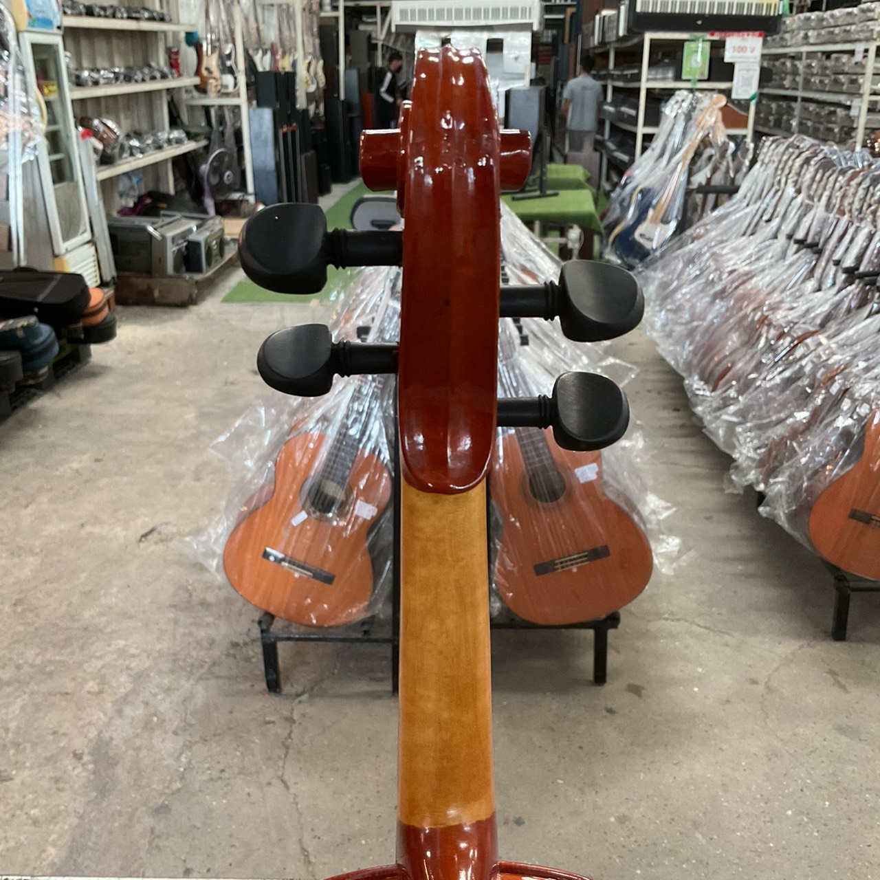 ไวโอลิน Niccolo : NV-50