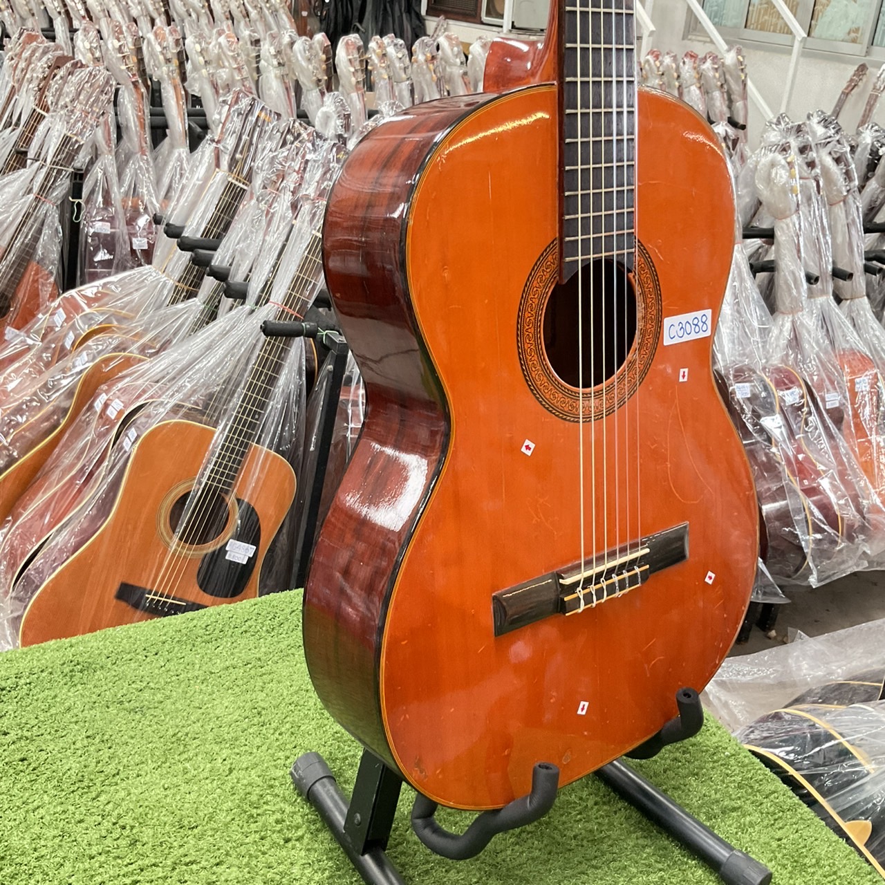 กีต้าร์คลาสสิค Abe Gut : No.315