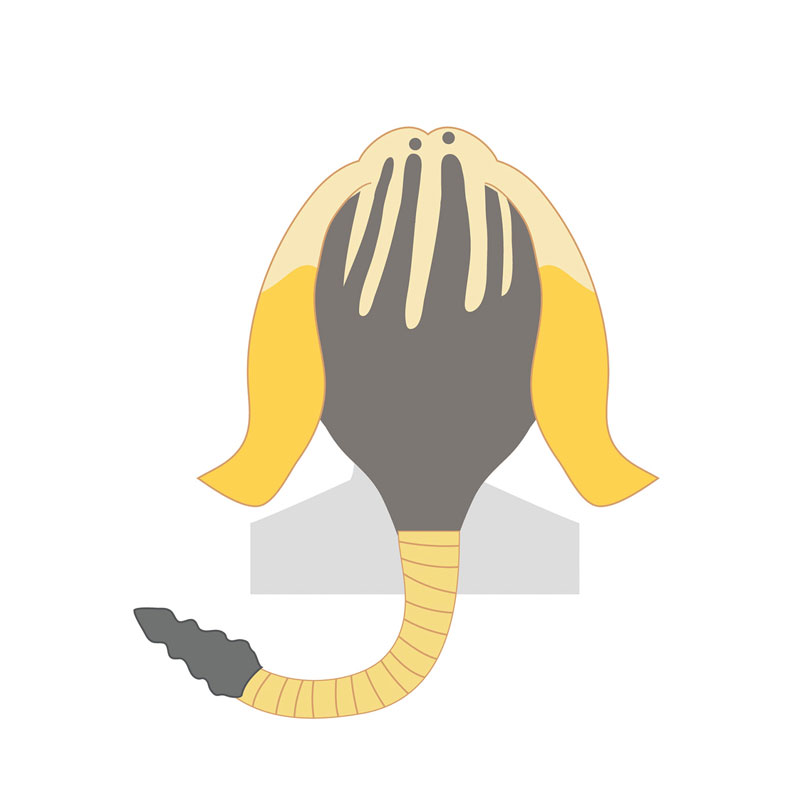 Monster Hunter Wilds Kigurumi Hat Mimiphyta Alfa(Pre-order)