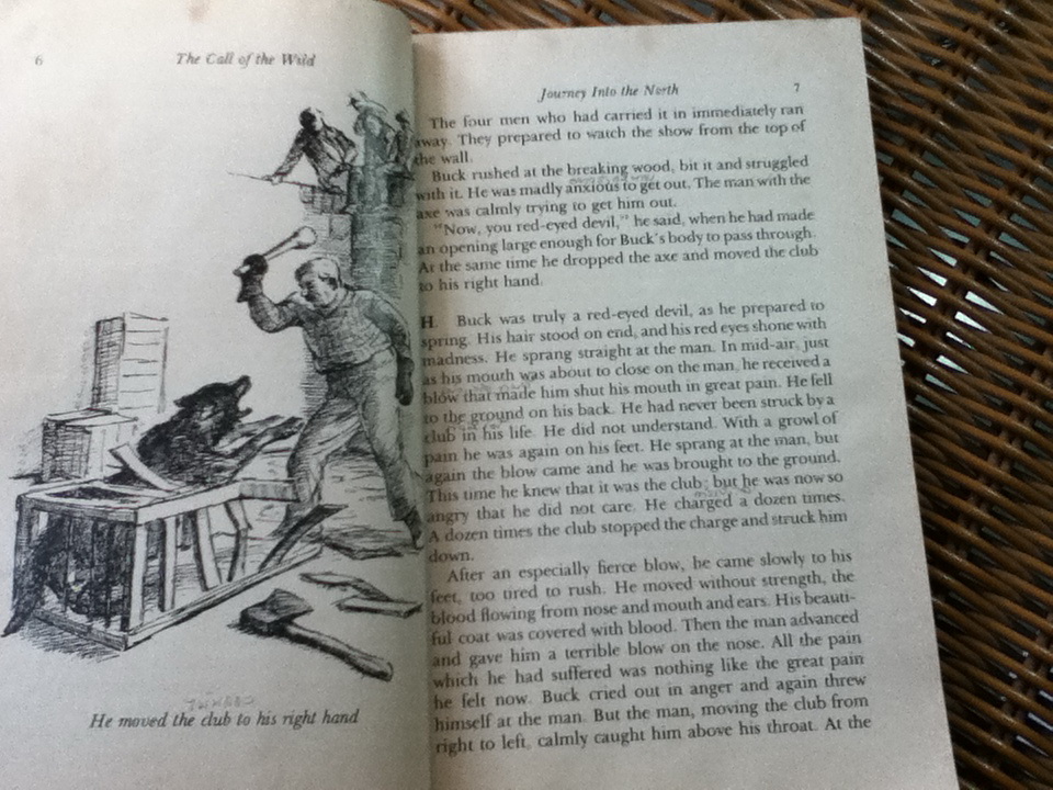 Call of the Wild/ JACK LONDON (หนังสือแถม)