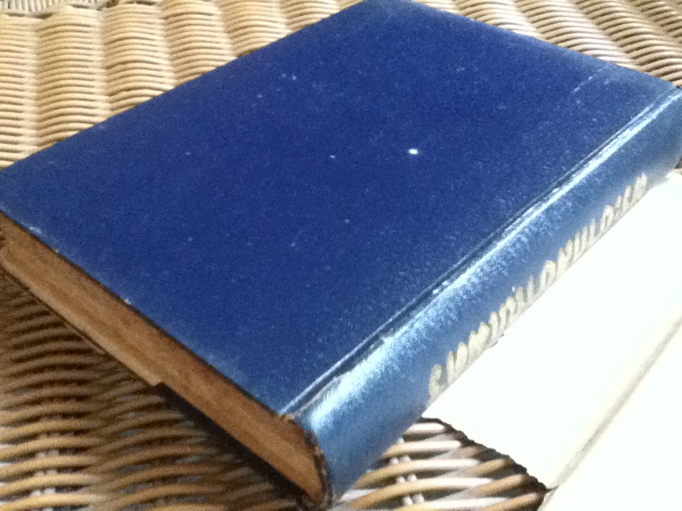 พระยากัลยาณไมตรี/ แปลจาก GLAD ADVENTURE ของ Francis B. Sayre