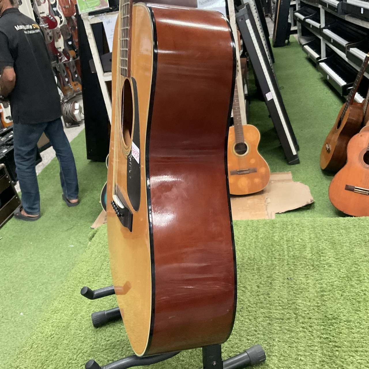 กีต้าร์โปร่ง Morris : MD-501