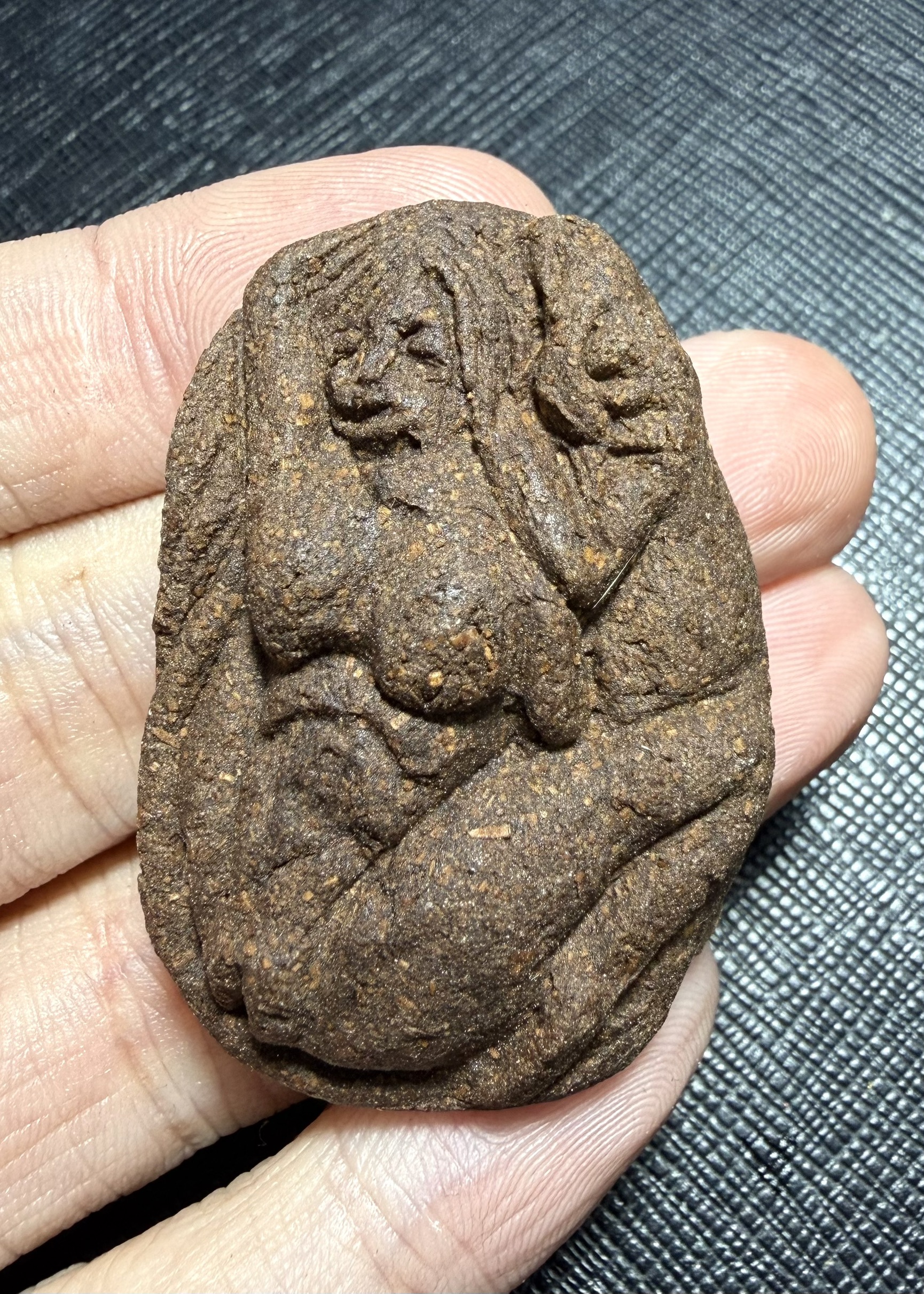 นางจิ้งจกเสน่ห์ Lady Gecko. SKU-03541