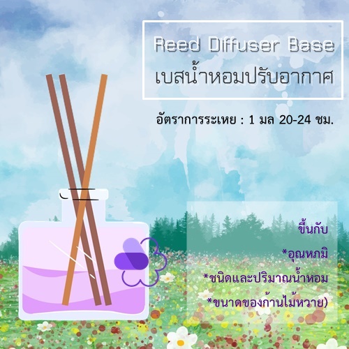 Reed Diffuser Base / เบสน้ำหอมปรับอากาศ