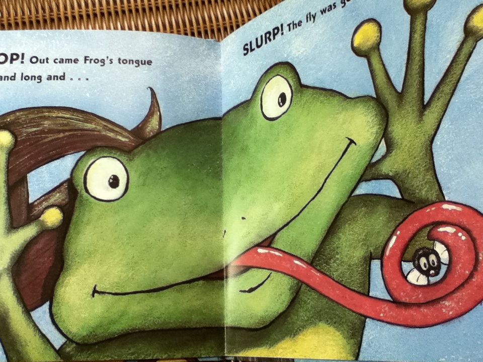 The Icky Sticky Frog/ Salina Yoon