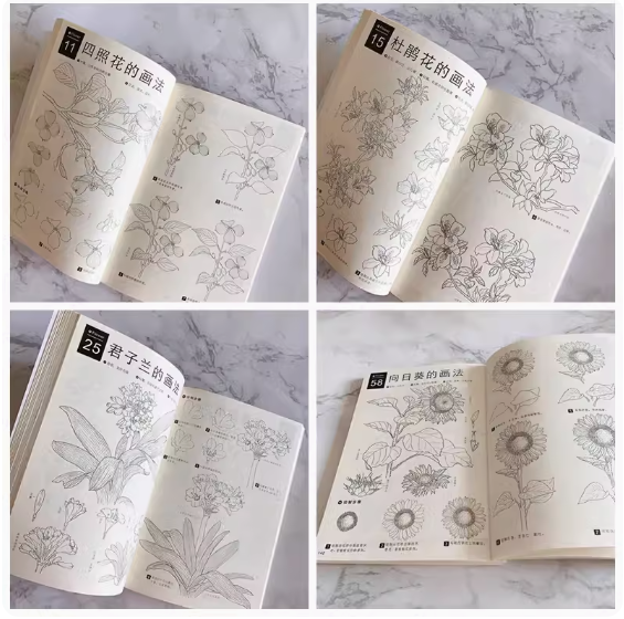 (Pre-order) หนังสือสเก็ตช์ดินสอภาพพืช