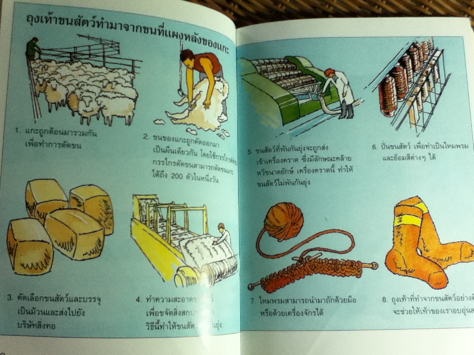 หนังสือความรู้สำหรับเด็ก เส้นใยสัตว์ และ การ์ตูน 101 ดัลเมเชี่ยน (หนังสือแถม)