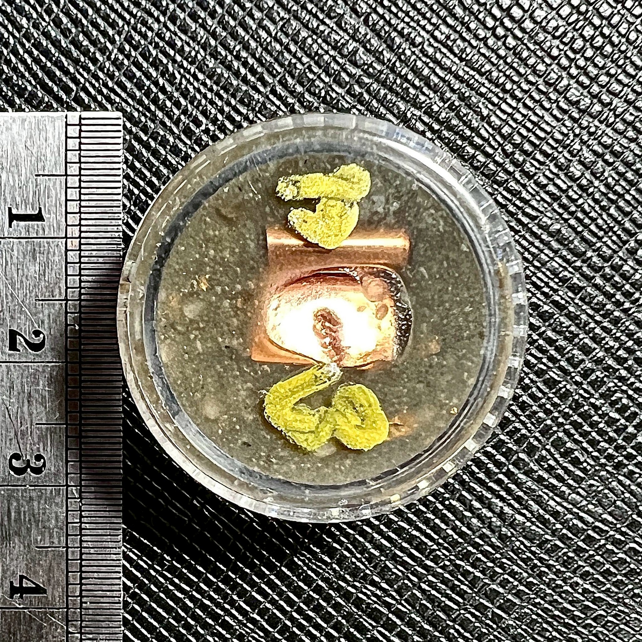 สีผึ้งดักสลักเกล้า Supreme Snare Wax. SKU-03999