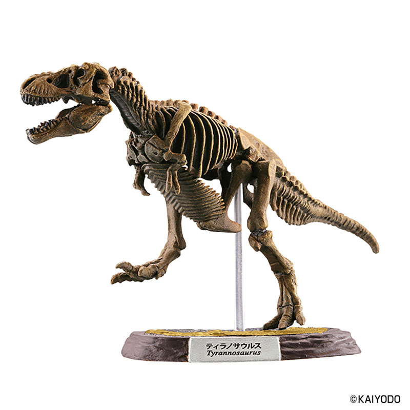 Dinoasaur Master 5 10Pack BOX (CANDY TOY)(Released)