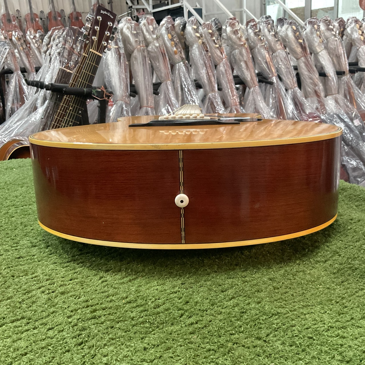 กีต้าร์โปร่ง YAMAHA : FG-252D