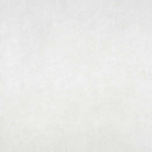 FT 12x12 วิลล์ เทาอ่อน PM