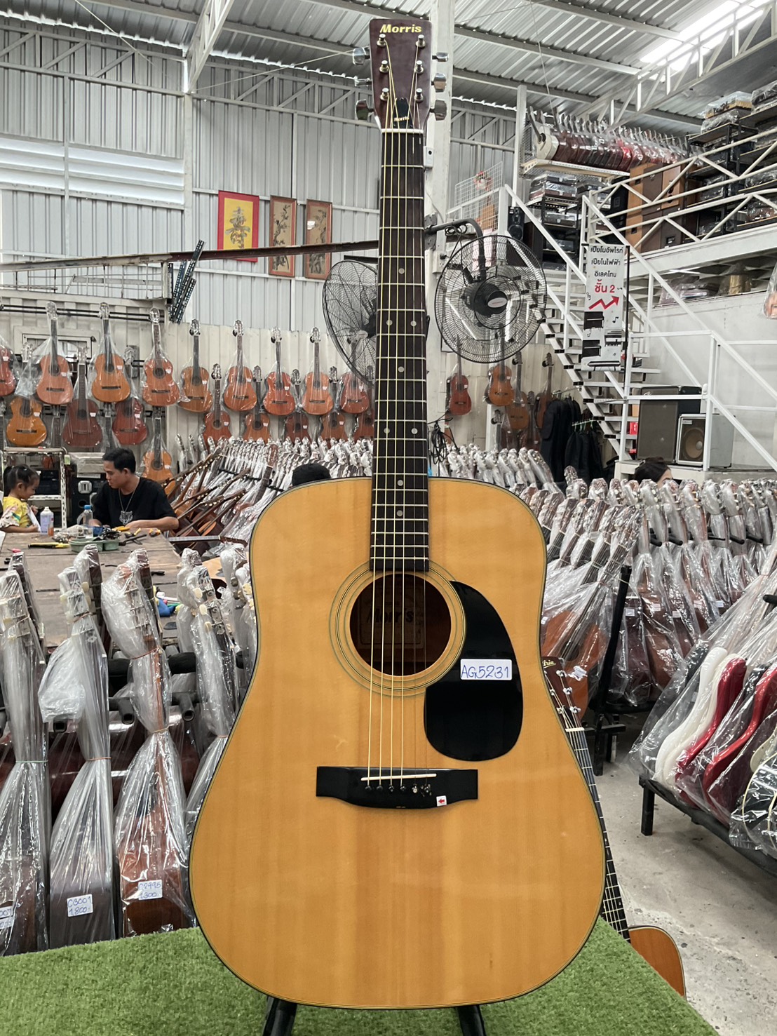 กีต้าร์โปร่ง Morris : W-15